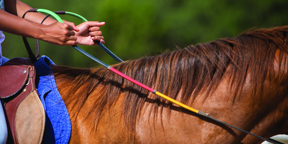 Equine Assisted Healing